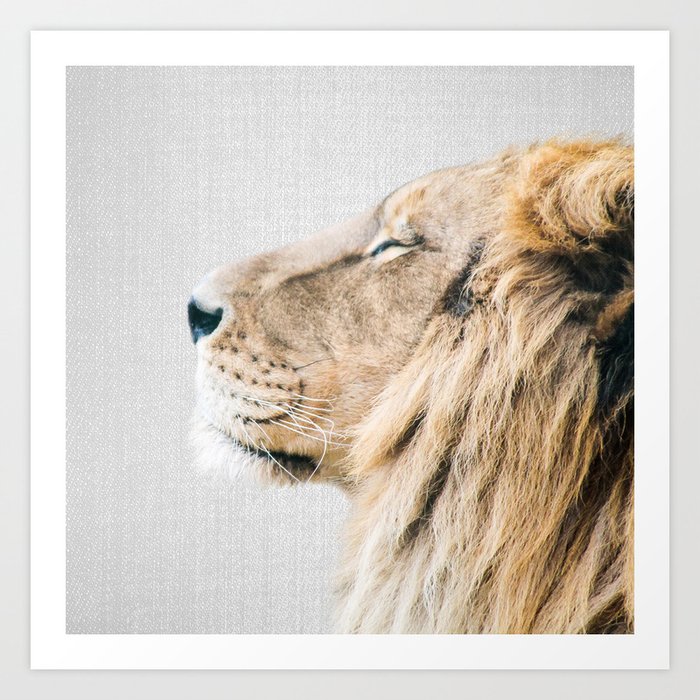 Lion Portrait - Colorful Art Print