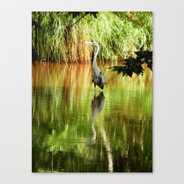 Songs of the River Canvas Print