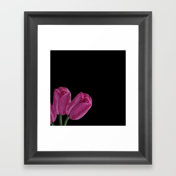 Pink Tulips Framed Art Print