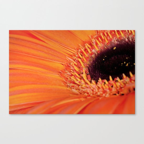 Its bloomin' orange Canvas Print