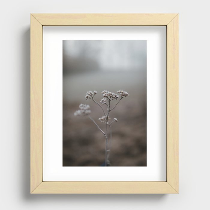 Winter Flower 2 Recessed Framed Print