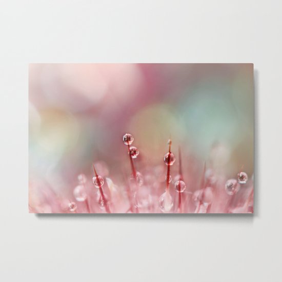 Rainbow Cactus II Metal Print