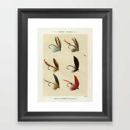 Lake Flies from Favorite Flies and Their Histories by Mary Orvis Marbury 3 Framed Art Print