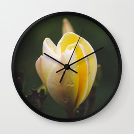 Yellow & White Plumeria bloom Wall Clock
