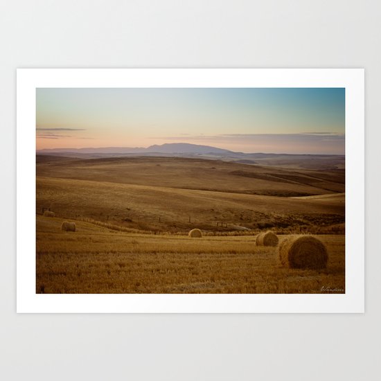 Wheat fields of the Overberg Art Print