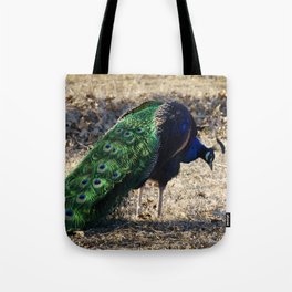 Peacock 2 Tote Bag