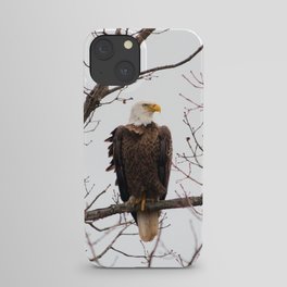 Bald Eagle iPhone Case