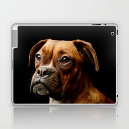 Portrait Adorable Boxer Puppy Looking Curiously  Laptop Skin