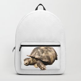 Sulcata Tortoise (grazing) Backpack