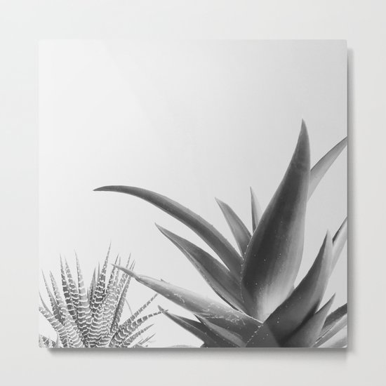 Succulents II Metal Print