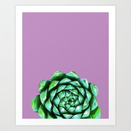 Purple Succulent Simple Art Print