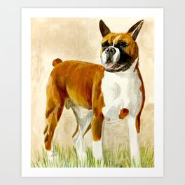 Boxer Dog Playful Guardian Art Print
