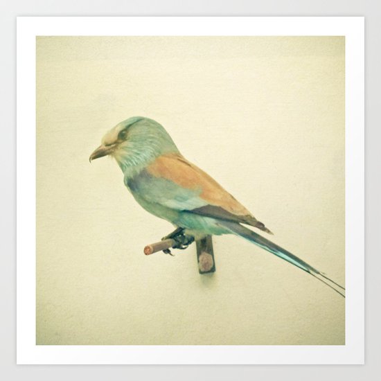 Bird Study #2 Art Print