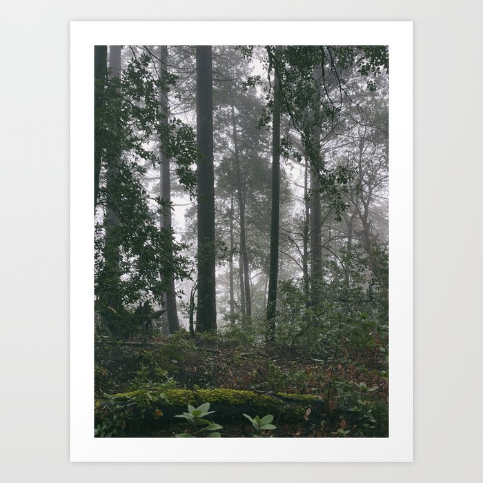 you never gave a warning sign (i gave so many signs) / into the forest xix Art Print