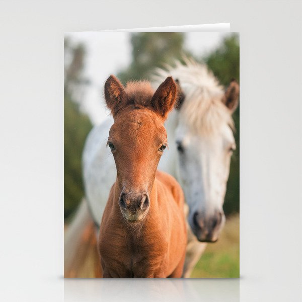 Icelandic horse mare with curious chestnut foal Stationery Cards