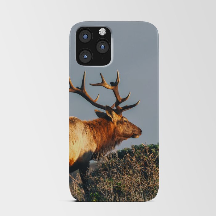 Smell the Air iPhone Card Case