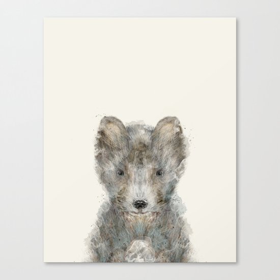 little grey wolf Canvas Print