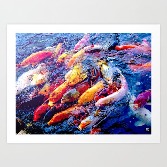 Koi Krazy Art Print