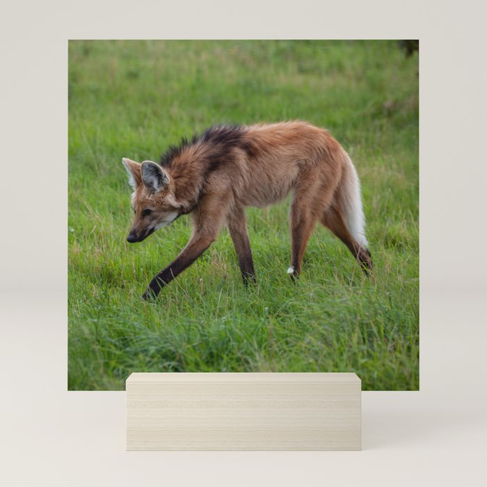 Mini Art Print