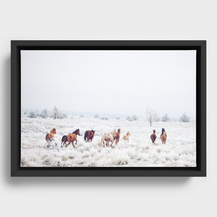 Winter Horses Framed Canvas