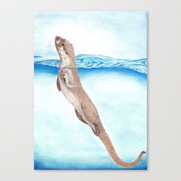 Sea Otter Canvas Print