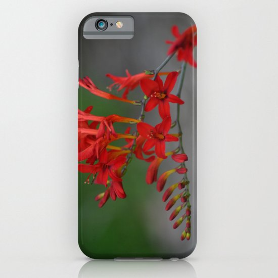 Red Flowers 3 iPhone & iPod Case