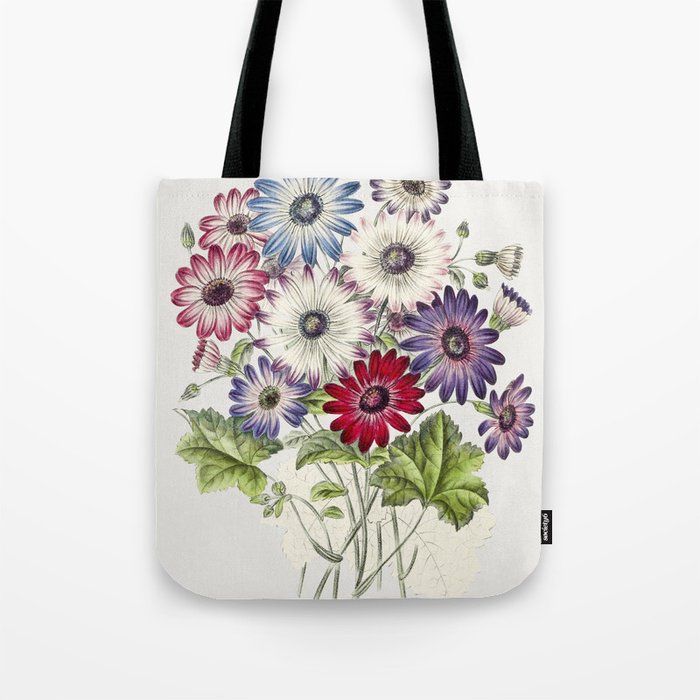 Colorful Chrysanthemums Tote Bag