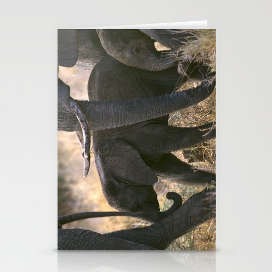 AFRICAN ELEPHANTS Stationery Cards