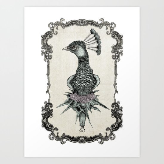 peacock Art Print