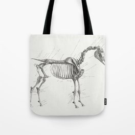 The Anatomy of the Horse Tote Bag
