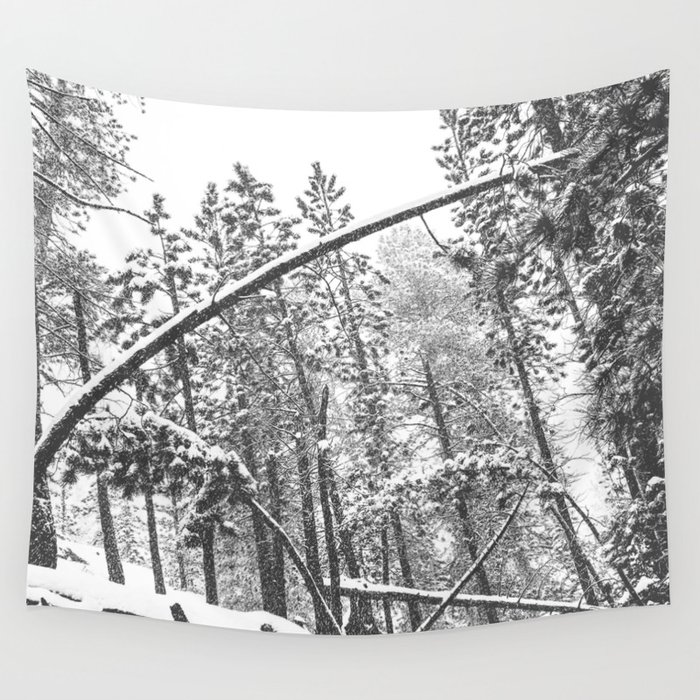 Forest Snowfall Winter Tree Black And White Landscape