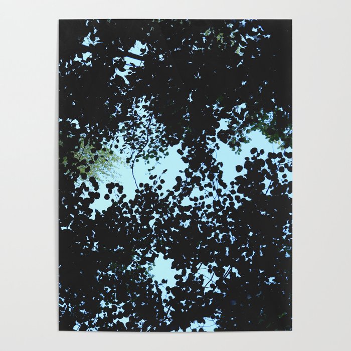 Tops of the leaves of trees silhouettes Poster