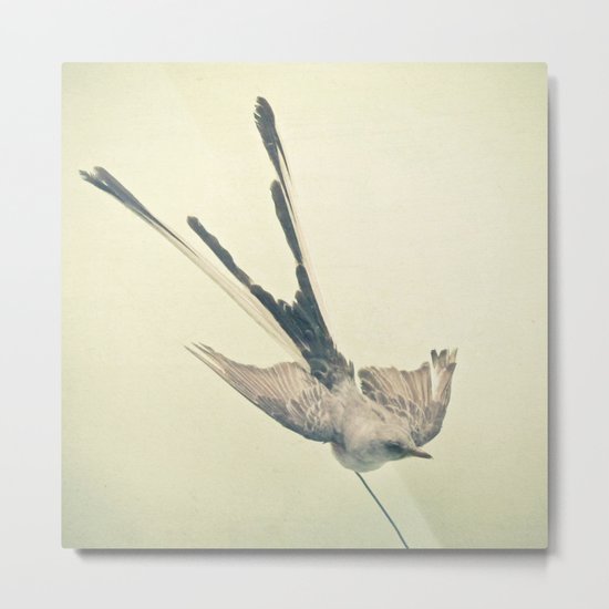Bird Study #1 Metal Print