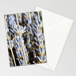 Sweet Lavender Bunch Stationery Cards