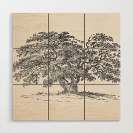 Wide Oak Tree Sketch Wood Wall Art