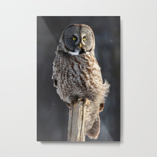 Steadfast in the wind Metal Print