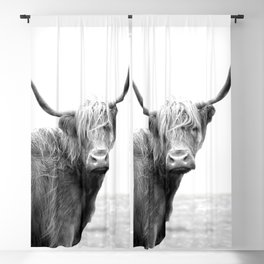 Highland Cow Blackout Curtain