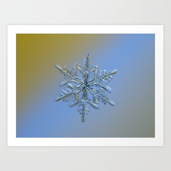 Real snowflake macro photo - 13.02.17 1 alt Art Print