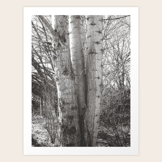 Triplets Art Print