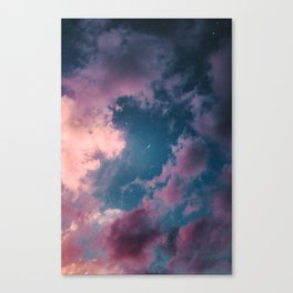 And that mystery, forever unsolved, is life. Canvas Print