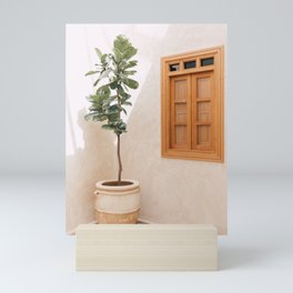 Fiddle leaf fig | Morocco travel photography Mini Art Print