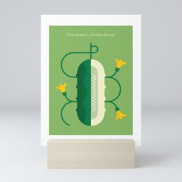 Vegetable: Cucumber Mini Art Print