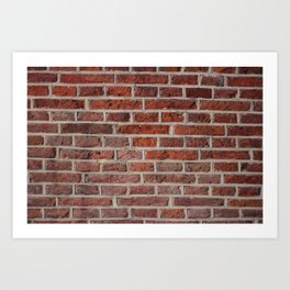 Another brick on the wall Art Print