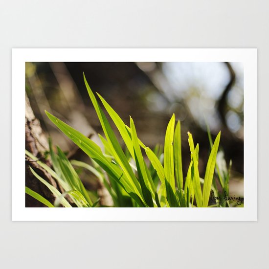 The Green Green Grass Art Print
