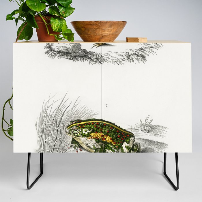 Oval Frog & Green Toad Credenza