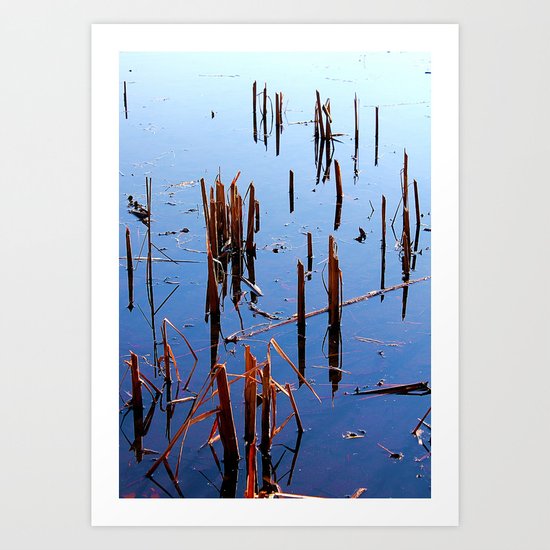 Swamp Scape Color Art Print