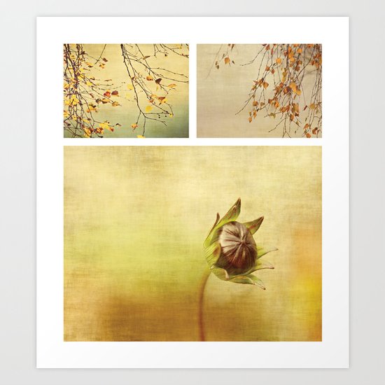 Triptych ~ Seasons Art Print