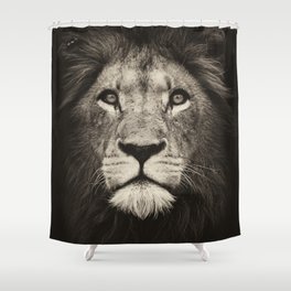 Portrait of a lion king - monochrome photography illustration Shower Curtain