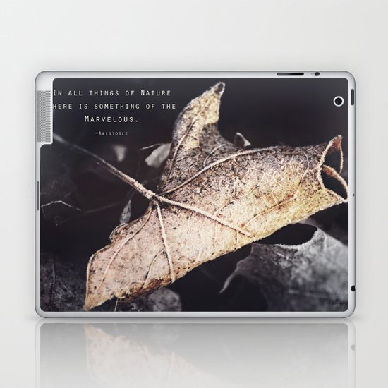 Something of the Marvelous Laptop & iPad Skin