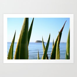 Agave cactus with island & blue sea // Ibiza Nature & Travel Photography Art Print